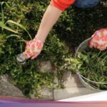 4 Strategi Efektif Menghilangkan Gulma dari Paving Block