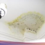 Mengatasi Jamur di Plafon dengan Cuka dan Detergen: Solusi Ampuh!