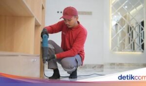 Irish Bella Pilih Fumida untuk Basmi Rayap, Rumah Jadi Nyaman & Aman